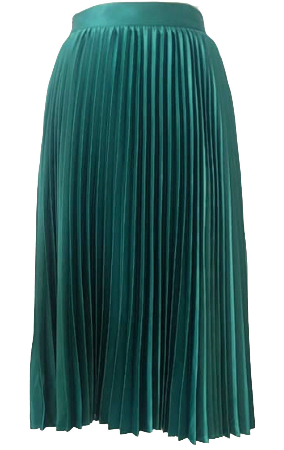 Pleated Skirt